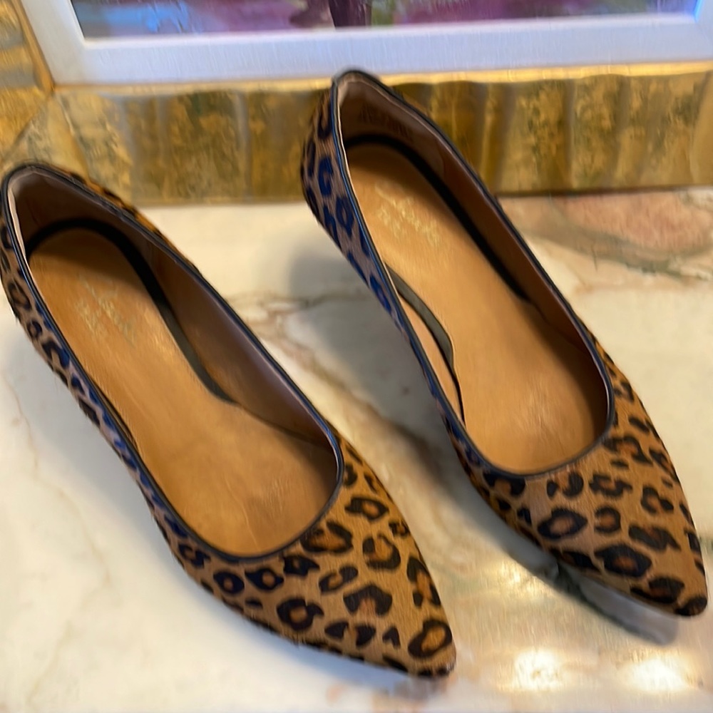 Clarks pumps in camel hair.2-inch heels and comfortable. Goes with anything!